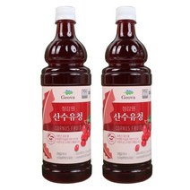산수유청 엑기스 농축액 900ml 산수유즙 진액 x 2병, 산수유청 엑기스 농축액 900ml 산수유즙 진액 x 2