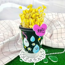 오렌지몰 나만의 콩나물키우기키트+관찰일지 1066711, 단품