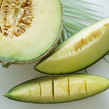 더싱싱 고당도 곡성 머스크멜론(메론) 특품 8kg내외 4수, GH 머스크멜론 8kg 4수
