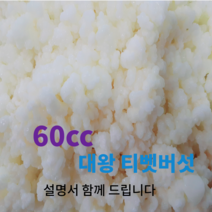 티벳버섯 종균 10cc 유산균 종균 프로바이오틱스 캐비어그레인 발효유 수제요거트, 60cc, 1개