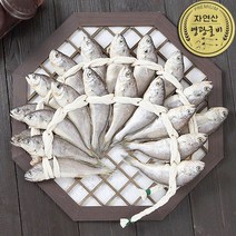 법성포 영광굴비 가정용 20미 1.2kg내외 16cm내외, 명품굴비가방_포장