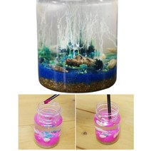 5인세트 화학정원 실험키트 반투막 과학교구 어린이 사이언스