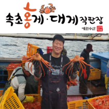 [속초 산지직송] 예원수산 제철홍게 생물 자숙(찜) 라면용 실속형 정품형 박달형 홍게택배, 1박스, 자숙 정품홍게(중) 3kg(8-9미)