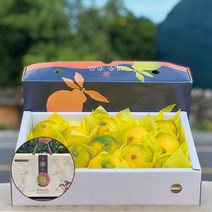 삼시세끼연구소 제주 황금향 귤 과일 선물 세트 부직포가방포함, 1개, 3kg (중과 10~16입)