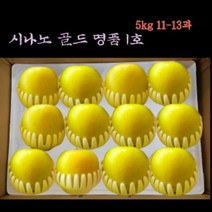 5킬로그램 예산명품 홍로 시나노골드 명품의 맛 인기절정 아삭한식감의 달콤한맛, 1박스, 5kg(11-13과)홍로명품 1호
