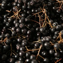 안토시아닌 풍부한 아로니아 생과 10kg