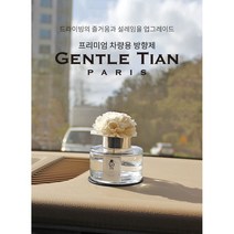 젠틀티안 차량용 디퓨저 100ml 본품 + 꽃스틱 + 논슬립패드 + 패키지박스, 블루마린, 1세트