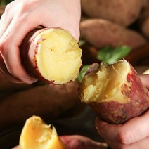 더싱싱 [해남직송] 22년 수확 햇 꿀밤고구마 2kg(중/50~100g), FE 꿀밤고구마 2kg(중/50~100g)