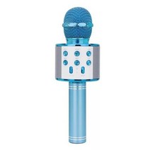 가정용 코인노래방 기계 휴대용 길거리공연 찬양 반주기 부스 무선 노래방 마이크 블루투스 핸드 헬드 스피커 홈 ktv 플레이어 춤 led 조명 기록 기능 를위한, 4-검은색