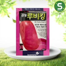 솔림텃밭몰 무씨앗 200립 루비킹 중소형무 과일맛 동치미 쌈무, 1개