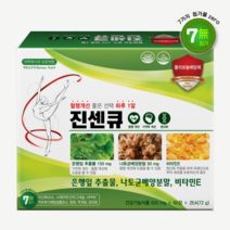 진센큐 은행잎 나토키나제 영양제, 600mg, 120정