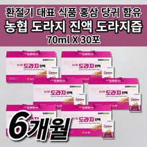 충북 인삼 농협 국산 국내산 도라지 진액 즙 엑기스 액기스 원액 식약처 인증 환절기 기관지 건강 에 좋은 음식 차 식품 선물 6년근 홍삼 대추 당귀 영지버섯 함유 도라지즙 30포, 6개