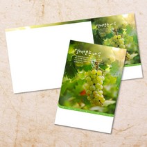교회주보 예배 주보용지 3단6면 주보지 안내지 전도지 절기 부활절 추수감사 맥추감사 성탄절 신년감사 디자인 기독교용품, EW-38