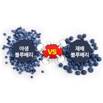 야생 와일드 냉동 블루베리1kg, 1kg