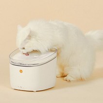 페페 업그레이드 펫 스마트 UV 살균 정수기 CW-100Lite, 단품