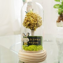 라임안개꽃 프리저브드 레터링 LED유리돔 시들지않는꽃 드라이플라워 기념일 축하 선물