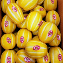 성주 꿀 참외 산지직송 당도선별 가정용 5kg, 5kg(랜덤), 1박스