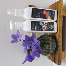 FloraLife/ 꽃 수명 연장제 2종시리즈 (플라워푸드 1개+피니싱터치 1개) 각 200ml씩 2개