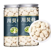 천패모 특급 패모 야생아님 1개입 50g, 2개 100g