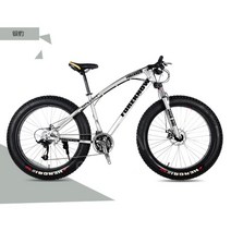 광폭타이어 팻바이크 산악자전거 MTB 오프로드 빅타이어, 21 단, 24인치, 실버(스포크 휠)