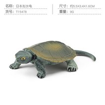 거북이어항 반수생거북이 수족관 사육장 미니어처 바다 생활 녹색 거북이 장식품 동물 작고 귀여운 모델 장식 액세서리 피규어 장난감null, P