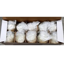 무배_송화단(화풍60g x10) 업소용, 60g, 1