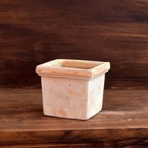 다육이입꽂이 꺾꽂이용 화분 빈티지토분 식물분양 샤를로스 월미인 치와와금무지 자구, 물구멍타공x