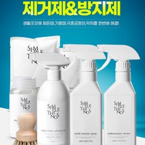 업소용 가정용 찌든때 기름때 곰팡이 욕실 장판 싱크대 창틀 벽 줄눈 세제 세정제 청소 악취 제거, 곰팡이 제거제 400ml 1+1