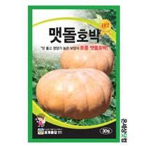 맷돌호박 30립 / 호박씨 호박씨앗