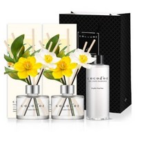코코도르 수선화 생화형 디퓨저 120ml x 2p + 리필 200ml, 숲속새벽공기