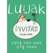 친환경 루왁 저카페인 발효커피 원두 핫굿, 드립백, 1개