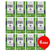 관절연골엔 보스웰리아 850mg x 30정, 12박스