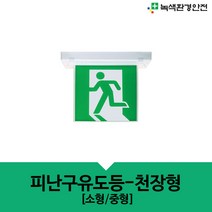 피난구유도등 천장형 (소형/중형) 유도등 LED 비상구 비상문 피난 대피 비상표지, 양쪽통로, 양면