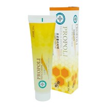 비엔케어 파워킹 프로폴리스 치약 200g프로폴리스추출물 3000mg 충치 예방, 1개, 200g