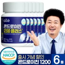 콘드로이친 1200 관절 알레 엔 식약처 인증 윤택 600mg x 90정, 6통