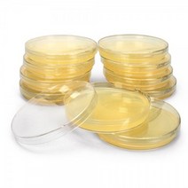 표준한천배지 (Plate Count Agar)