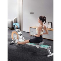 로잉머신 체중감소 운동 지방연소 실내 홈 스포츠, (체지방 측정) 펄 화이트  300KG