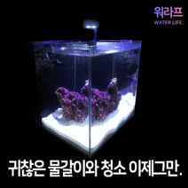 워라프 열대어 어항 용품 세트 미니 자동청소 금붕어 구피 어항 베타 키우기 물고기 스마트 수조, 화이트