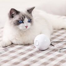 PETCARE 펫케어 스마트캣볼 (꿈틀이), 1개