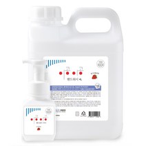 이공이공 핸드워시 4L+300ml 대용량 손세정제 리필 거품형 물비누, 4L+300ml  딸기버블검향