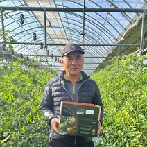 산지직송 당일발송 대저 짭짤이 토마토 2.5kg, 짭짤이 토마토 2.5kg(S/로얄과/A+등급)