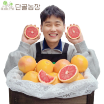직수입 이스라엘산 평균당도 10Brix 루비자몽 레드자몽, 8.4kg내외/특대과/20과