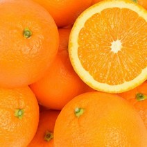 오렌지과일  추천 순위 모음 20