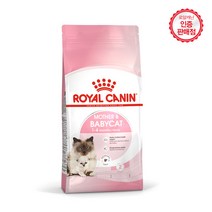 고양이사료 베이비캣 건식 1.2kg 면역력강화도움, 1개
