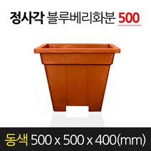 서경농원 고무 블루베리화분 정사각형 동색 500 x 400 분갈이
