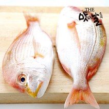 맛있는날 [맛있는날] 제주산 꽃돔(황돔) 손질 필렛 2kg(22미 내외/마리당 17-20cm), 1