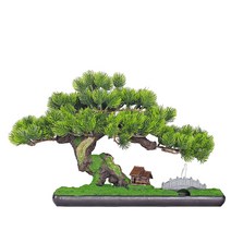 소나무 분재 미니 개업화분 선물용 인테리어 묘목, A