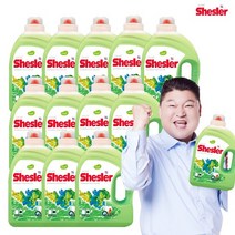 기본패키지/ 아토세이프 쉬슬러 세탁세제 유칼립투스3.05L 12통, 없음, 3050ml