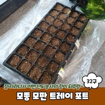 모종 모판 트레이 포트 32구