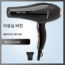 전기 드라이기 가정용 대풍 음이온 헤어 케어 무음 미용실 전용 고출력 속건 남성 드라이기, 검은머리살롱블루라이트음이온헤어케어